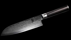 100 - 250 CHF, Santoku