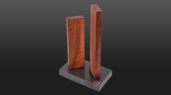 Coltelli Kai , Shun blocco di coltelli